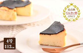 099H2830 バスクチーズ （冷凍ケーキ）12cm×1台【洋菓子 スイーツ おやつ てんさい糖 冷凍ケーキ】