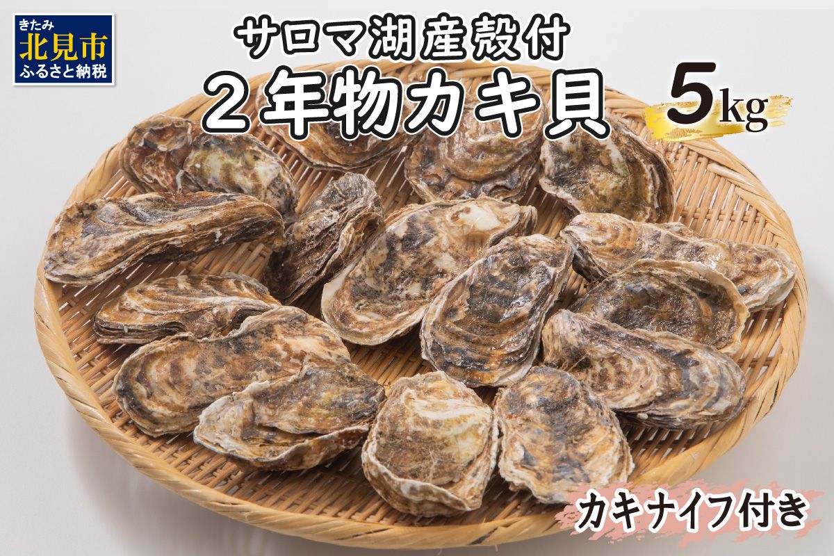 [予約:2024年10月より順次発送][カキナイフ付]海のミルク サロマ湖産 殻付2年物カキ貝 5kg 35〜50個入 ( 海鮮 魚介 魚介類 貝 貝類 カキ 牡蠣 贈答 ギフト BBQ バーベキュー )[031-0007-2024]