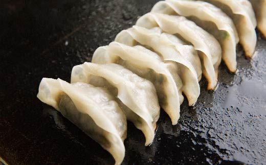 R6-1027．【3回定期便】家(うち)に来る“高知” ジューシーな具をぎっしり詰めた手づくり!!　四万十ひすい餃子・一本釣りかつお餃子（8ヶ×4パック×2種）・たれ付き　にんにく不使用！