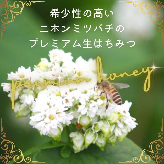 亀岡産 日本みつばち百花蜜 130g《純粋 非加熱 国産 無添加 生 亀岡産 日本みつばち百花蜜 130g《純粋 非加熱 国産 無添加 生