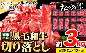 牛肉 肉 黒毛和牛 切り落とし 訳あり 大容量 小分け 3kg 1パック 250g 《60日以内に出荷予定(土日祝除く)》岡山県産 岡山県 笠岡市 お肉 にく カレー 牛丼 切り落し 切落し---223_f653_60d_23_30000_3kg---