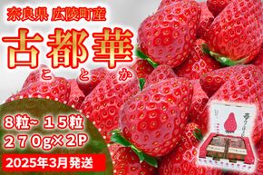 【数量限定】苺のごほうび【古都華】270g×2パック 　3月発送 // いちご イチゴ 古都華 奈良 奈良県