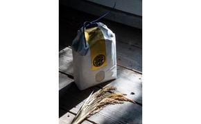 先行受付】新米 令和7年産『甲佐の輝き』無洗米10kg（5kg×2袋