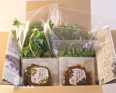 A4105 【期間・数量限定】かかさの手仕事  山菜＆惣菜セット