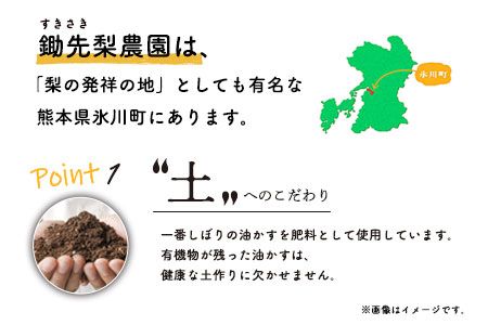  令和8年産 鋤先家 の ひのひかり 6kg (2kg×３袋) 熊本県氷川町産 鋤先梨農園《30日以内に順次出荷(土日祝除く)》---hkw_26_snn_3_6kg---