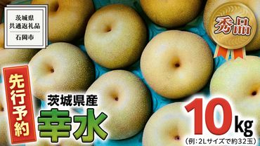 [ 先行予約 ] [ 秀品 ] 茨城県産 梨 幸水 10kg ( 茨城県共通返礼品:石岡市 ) [ 2024年 発送分] フルーツ 果物 なし ナシ 旬 新鮮 旬 期間限定 甘い 国産 [CV001us]