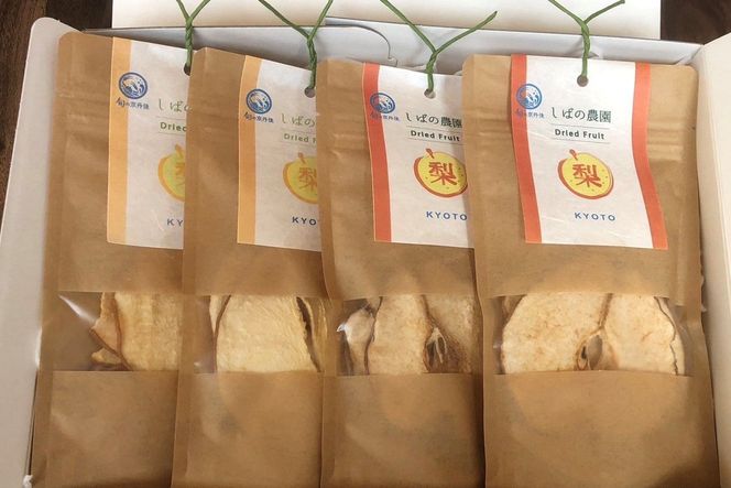 ys{Oszys\zhCt[c2lߍ킹(EӎOg)i2026N1{`j@SF00002