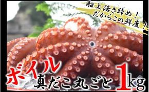 船上活き締め！ゆでたこ丸ごと約1kg（約1～４杯）_1812R