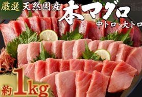 厳選天然国産本マグロ　中トロ・大トロ　１ｋｇ以上 魚 高知県 刺身 刺し身 漬け丼 海鮮丼 おかず 魚介類 海鮮 海産物 まぐろ 本まぐろ 鮪 ブロック 1キロ 惣菜 冷凍 mm008