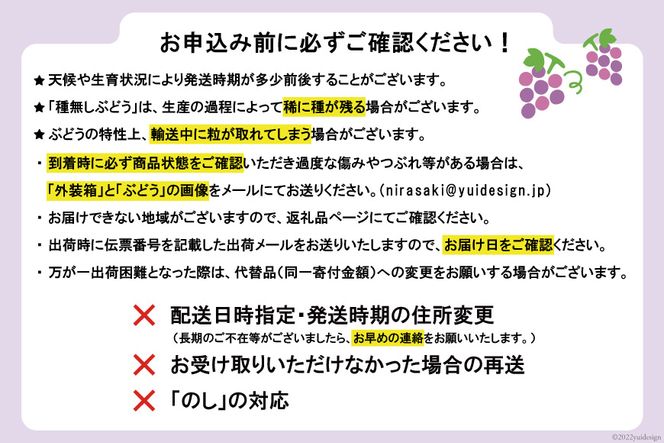 シャインマスカット 予約 2kg 相当 2回 定期便 計 4kg 【2027年発送】 NS-1011 韮崎翠緑セレクト [韮崎翠緑 山梨県 韮崎市 20742828] シャイン 山梨 やまなし ぶどう ブドウ 葡萄 マスカット 種なし 果物 フルーツ 山梨県産 産地直送 期間限定 季節限定 冷蔵