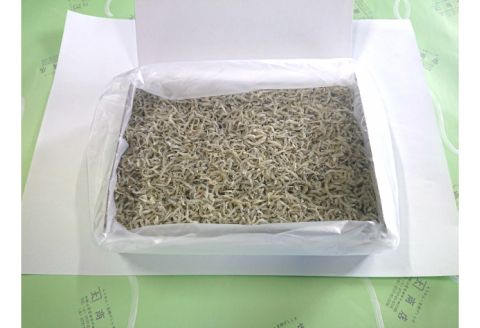 479.上干ちりめん1kg(ks-1)(A479-2)