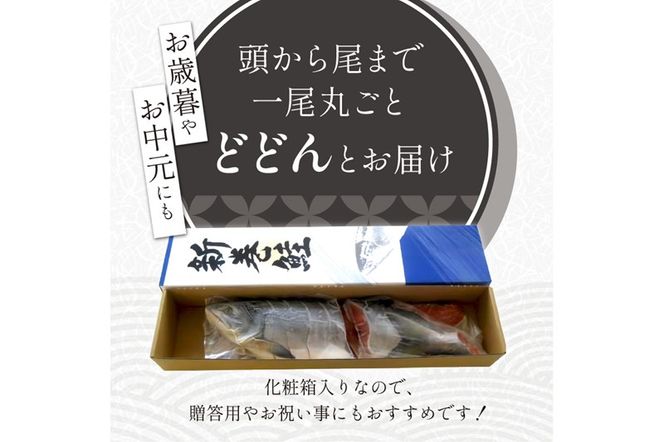 大手百貨店も扱う「新巻鮭姿切身」【4分割 1.7kg】