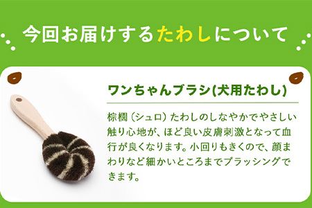 たわし職人がつくった「犬用たわしギフト」株式会社 北山正積商店 《90日以内に出荷予定(土日祝除く)》 和歌山県 紀の川市---wsk_kitaigift_90d_22_18000_3p---