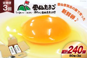 BI034 3回 定期便 雲仙たまごLサイズ  80個 (10個入り×8パック)(75個＋割れ補償5個入り) [ 卵 たまご 生卵 鶏卵 赤卵 玉子 新鮮 塚ちゃん雲仙たまご村 長崎県 島原市 ]