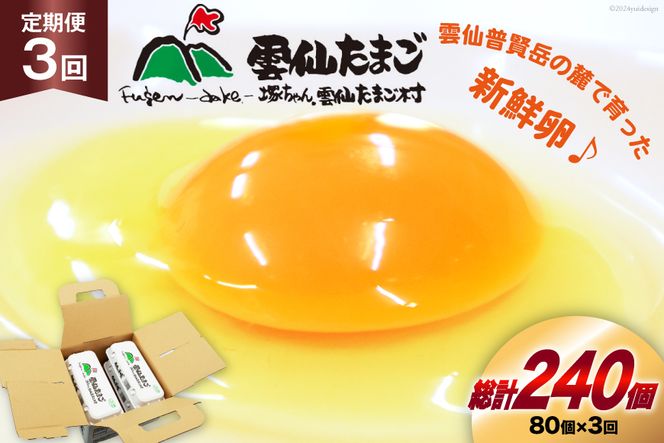 y茧szBI034 3  _傽܂LTCY  80 (10×8pbN)(75{⏞5) [  ܂  { ԗ ʎq VN ˂_傽܂ 茧 s ]