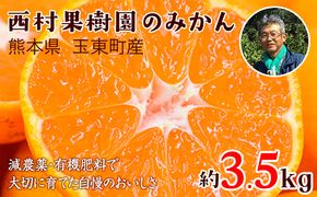 『西村果樹園』のみかん★約3.5kg(2S-2Lサイズ) 【日付指定不可】 フルーツ 旬★熊本県玉名郡玉東町 みかん 減農薬・有機肥料で育てた自慢のおいしさ！《10月上旬-1月下旬頃出荷》---sg_nkjmkn_ak101_24_8500_3500g---