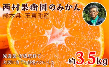 『西村果樹園』のみかん★約3.5kg(2S-2Lサイズ) 【日付指定不可】 フルーツ 旬★熊本県玉名郡玉東町 みかん 減農薬・有機肥料で育てた自慢のおいしさ！《10月上旬-1月下旬頃出荷》---sg_nkjmkn_ak101_24_8500_3500g---