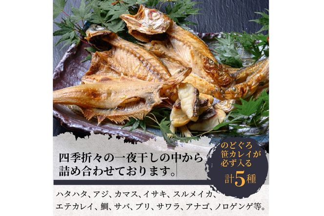 のどくろ、笹カレイ入り　一夜干し詰め合わせ　ゴールド　UO00149