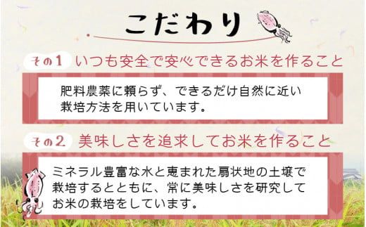 【先行予約】【新米】ほたるいか米（無洗米10kg）×6回 計60kg【6ヶ月定期便】25年10月開始