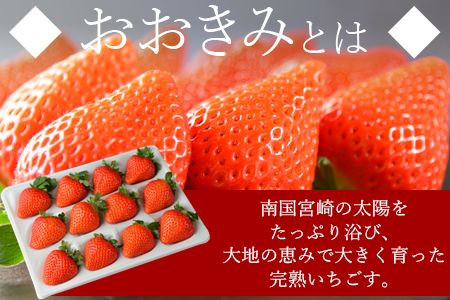 ＜高級いちご「おおきみ」（9～12粒×2パック 合計約760g以上）＞2025年1月上旬～4月末迄に順次出荷【a0284_sn_x1】