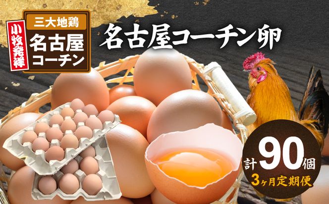 【3ヶ月定期便】名古屋コーチン卵(30個入り)×3回（計90個） [006K01-T]