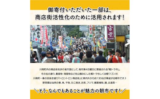 日本一の軽トラ市！オリジナルトートバッグ２種類【 オリジナル 限定 カジュアル バッグ ファッション 】 [F5301]