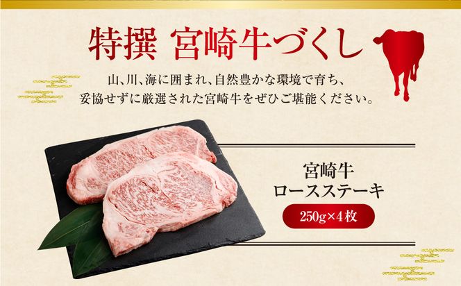 ＜特撰宮崎牛づくし(5種類)計3kg＞2025年2月より順次出荷します【c611_hn_x1】