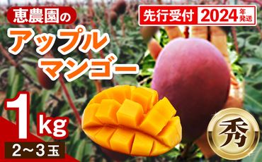【先行受付】 【2024年発送】恵農園のアップルマンゴー『秀』約1kg（2～3玉）