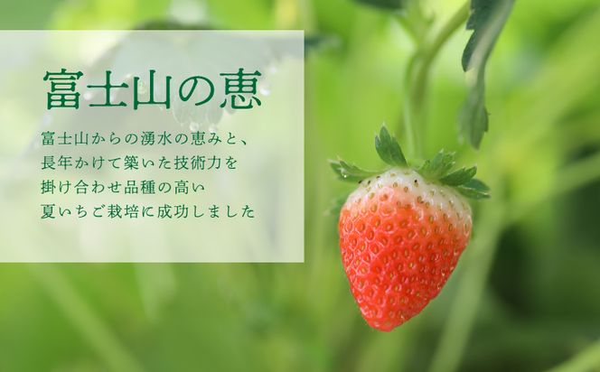 【2026年 先行予約】【湧水のミネラルたっぷり！山梨の夏秋いちご】ご家庭用 200ｇ× 4パック BB007