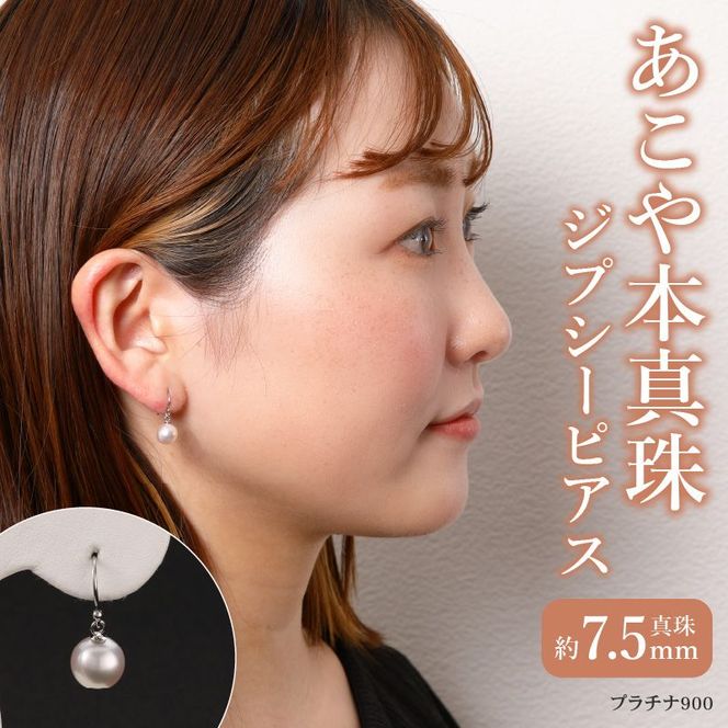 y啪啪szyT04005z{^@Ԃ牺WvV[sAX@^7.5@v`i900