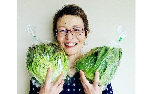 【定期便 年3回】「TACHIARAI」おいしかぁ～便 (夢つくし2kg入)  野菜の詰め合わせ 9～12品