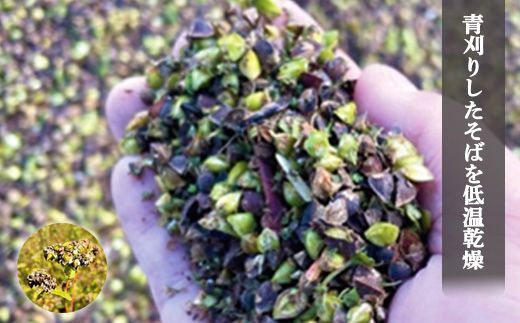 【オーガニック】上原農場 有機原料 そばの実1kg（500g×2）【30002】