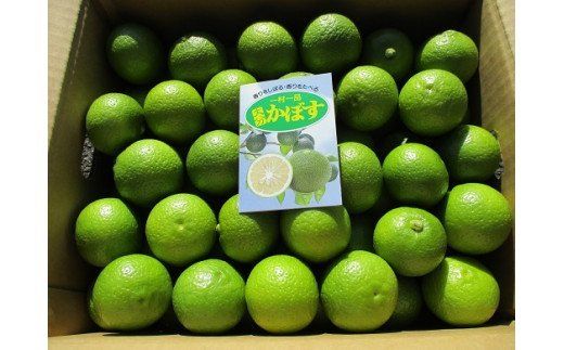 0B1-17 種なしカボス2kg（サイズ混合）