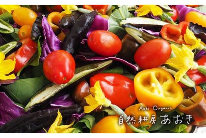 【年4回定期便】春夏秋冬自然栽培野菜セット(年4回)2～3人用　AB00001