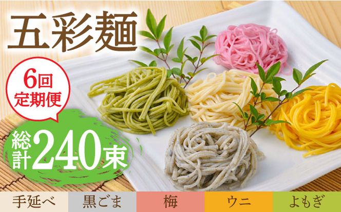 【6回定期便】五彩麺 セット 40束 / そうめん 素麺 黒ごま 梅 うに よもぎ / 麺 乾麺 食べ比べ 詰め合わせ カラフル / 南島原市 / のうち製麺 [SAF028]