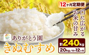 【12ヶ月定期便】 令和6年産 米 岡山県産 きぬむすめ 白米 20kg ありがとう園《お申込み月の翌月から出荷開始》岡山県 矢掛町 米 コメ 一等米 定期便 定期---osy_aekhtei_23_409500_mo12num_20---