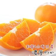 和歌山有田産 せとか 約4～5kg 高級希少柑橘 芳醇で濃厚な甘さ。    AO043