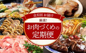 【全6回】厳選！お肉づくめの定期便　H028-068