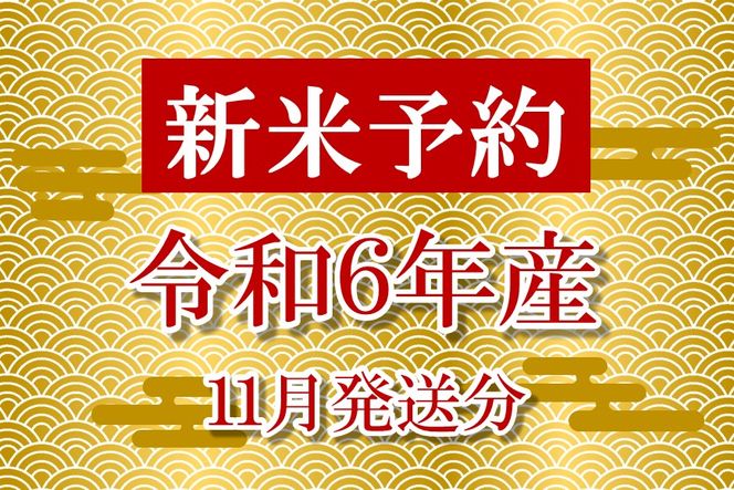 [A246] 【新米予約（11月発送）】【無農薬】【玄米】能登のこだわり自然栽培こしひかり『羽咋米』 10kg