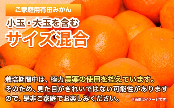 ＜先行予約＞家庭用 超熟 有田 みかん 5kg+150g（傷み補償分）【わけあり・訳あり】【光センサー選果】池田鹿蔵農園@日高町（池田農園株式会社）《11月上旬-12月末頃出荷》和歌山県 日高町【配送不可地域あり】みかん 有田みかん---wsh_idn66_11j12m_24_11000_5kg---