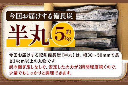 紀州 備長炭 半丸 約 5kg 望商店 《30日以内に出荷予定(土日祝除く)》 和歌山県 日高川町 備長炭 紀州備長炭 炭 約5kg 高級白炭---wshg_nzm6_30d_23_27000_5kg---