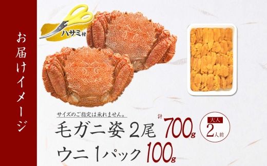 2460. 毛蟹 2尾 計700g前後 うに チリ産 冷凍 100g 専用ハサミ・食べ方ガイド付き 毛ガニ 毛がに 蟹 カニ かに 蟹肉 カニ味噌  ウニ 雲丹 海鮮 ボイル 送料無料 北海道 弟子屈町