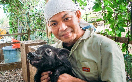 ＜ヨギファーム＞ふるさと納税限定おまかせソーセージ