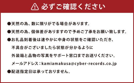 ポケットサイズ！ 天然天草砥石 軟口（小型）60型 キャンプ愛用品！ 包丁とぎ 包丁砥ぎ 包丁研ぎ 包丁研ぎ器 研ぎ石 砥ぎ石 キャンプ アウトドア 熊本県 上天草市