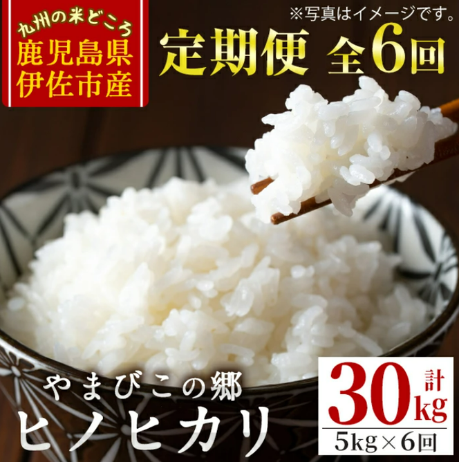 E0-03 【定期便6回】特別栽培ヒノヒカリ(計30kg・毎月5kg×6ヶ月)【やまびこの郷】