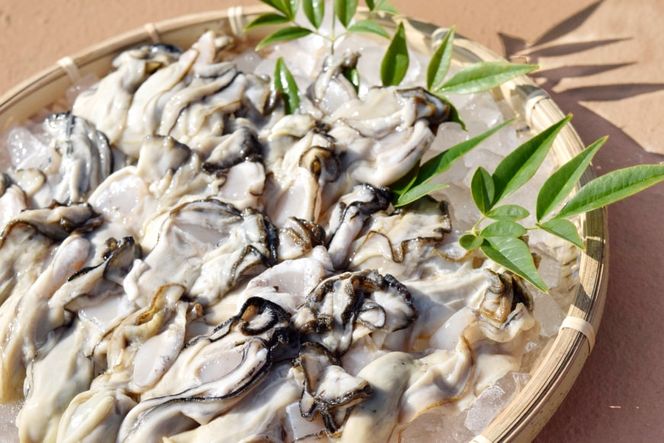 むき身 地秀かき 生食用 500g ×2袋 [かみたいら 宮城県 気仙沼市 20564232] カキ 牡蠣 かき 生食 剥き身 オイスター 冷蔵