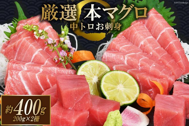 まぐろ 本マグロ背トロ 約400g(200g×2柵) 中トロ 刺身 冷凍 [豊洋海産流通 宮城県 気仙沼市 20562453] 