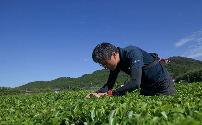 B4057 村上茶・雪国紅茶丸缶ギフトセット