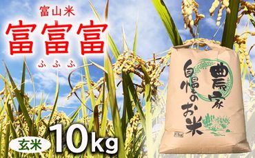 【新米予約】農家直送「 富富富 」10kg（玄米）｜富山米 ふふふ　※北海道・沖縄・離島への配送不可　※2024年9月下旬頃より順次発送予定