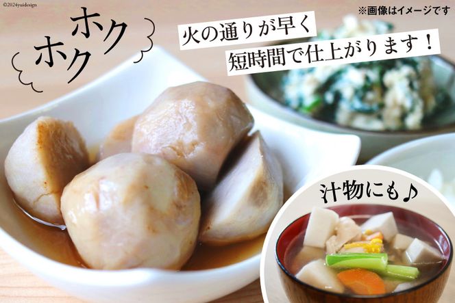 y{茧szyԌ蔭z  ԉ 4kg [b㎩Rh_ {茧 s 452060524] Ƃ zNzN